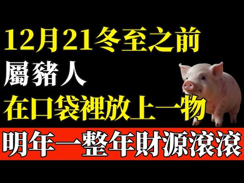 錯過再等60年！屬豬人12月21冬至之前，在口袋裡放上一物，明年一整年都在進財！【般若之音】#生肖 #運勢 #風水 #財運#命理