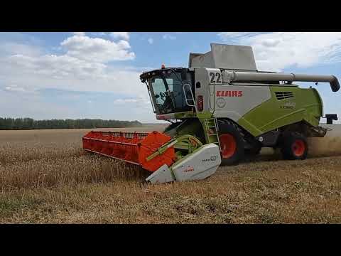 Уборка зерновых 2023 сезон Кубань и Пензенская область claas tucano , John Deere .