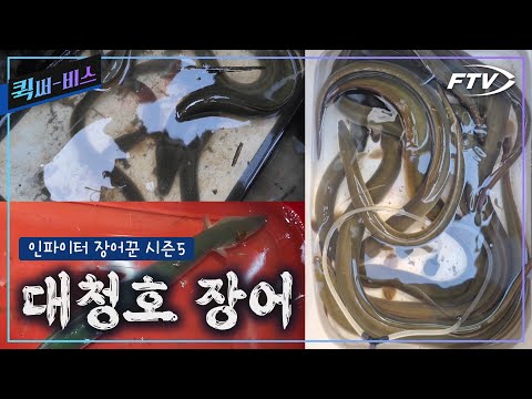 [Full/퀵써-비스]장어낚시의 또다른 성지, 대청호에 인파이터들이 모였다![인파이터장어꾼 시즌5/3회]