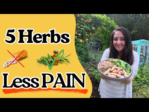 Natural Pain Relief: 5 Herbs I Use For Pain