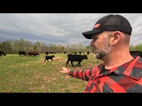 This is not good! Farming and Feed FAIL!