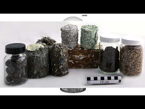 Газ из мусора: подробный обзор мировых заводов и технологий