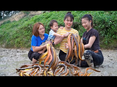 A single girl and her mother and daughter harvest natural eels - go to the market to sell