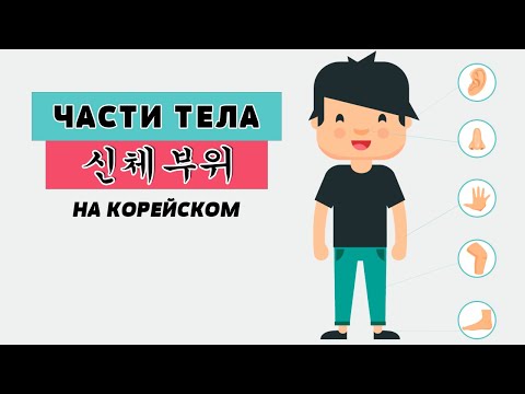 Части тела на корейском языке