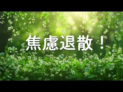 【輕音樂〜焦慮退散！ 】 人生沒那麼難，有音樂陪伴就夠浪漫 - 要減壓，有療癒、安神助眠、純音樂無廣告、早晨音樂