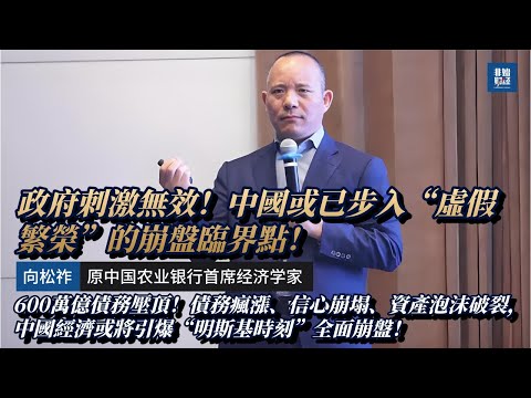 【向松祚重磅揭示】墙内全網下架：600萬億債務壓頂！債務瘋漲、信心崩塌、資產泡沫破裂，中國經濟或將引爆“明斯基時刻”全面崩盤！#中国经济 #中國 #经济 #美國 #向松祚
