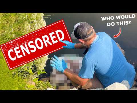 We Thought It Was Trash — Until We Opened the Bag