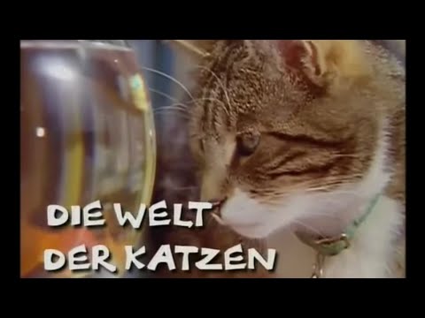 The World of Cats - DOCUMENTARY GERMAN COMPLETE
