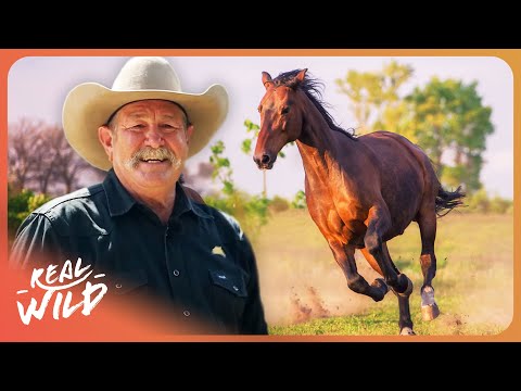 Can Pat Parelli Fix This Aggressive Horse That Charges at People?