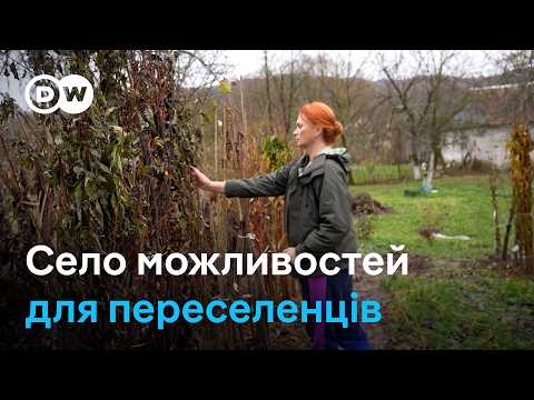 Як колись депресивне село на Закарпатті приваблює малий бізнес і ВПО | DW Ukrainian