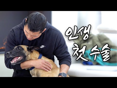 강형욱 반려견 수술 받는 날, 제발 건강만 해다오 [부제: 형욱의 지갑. 개통령도 한도가 있다]