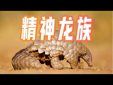 【鬼谷闲谈】穿山甲：身在兽营心向龙
