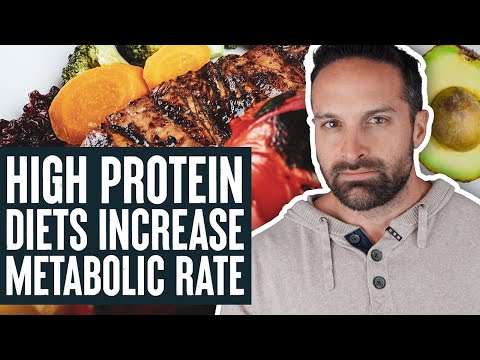 High Protein Diets Increase Metabolic Rate