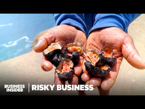 The Risks Behind Finding The World's Rarest Delicacies | Risky Business | Business Insider