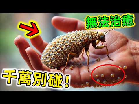 一定要小心這些昆蟲！碰到了一定要趕緊跑，尤其第一名很多人中招#最危險昆蟲 #最可怕昆蟲 #昆蟲 #昆蟲科普 #世界之最 #老王看世界