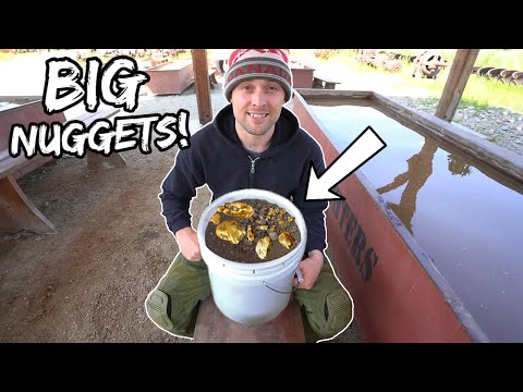 How Much GOLD Is In a $10,000 Bucket of Paydirt?