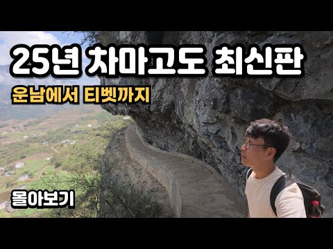 The latest edition for 25 years, looking at the road of a stable walking again