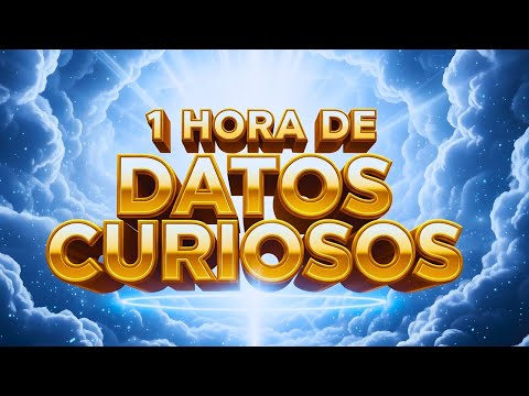 🧠 1 HORA de DATOS CURIOSOS y COSAS QUE NO SABÍAS ✅🤯
