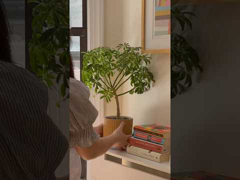 Decorating Awkward Spaces #interiordesign #homeimprovement #nycapartment