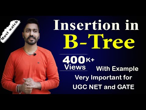 Lec-101: Insertion in B-Tree with example in Hindi