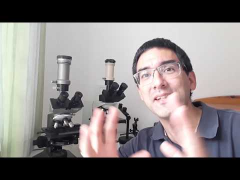 Sir Karl Popper and the problem of induction