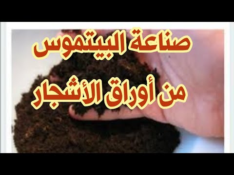 اصنع تربة البيتموس من أوراق الأشجار المتساقطه في المنزل