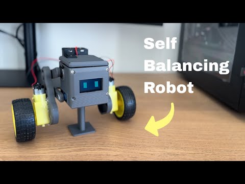 I made a self balancing robot