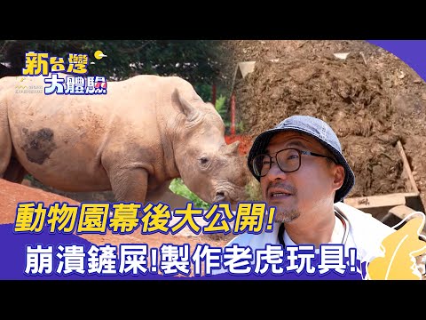 【新台灣大體驗】動物園幕後大公開！崩潰鏟屎！製作老虎玩具！｜廖慶學 2025.08.30 part2