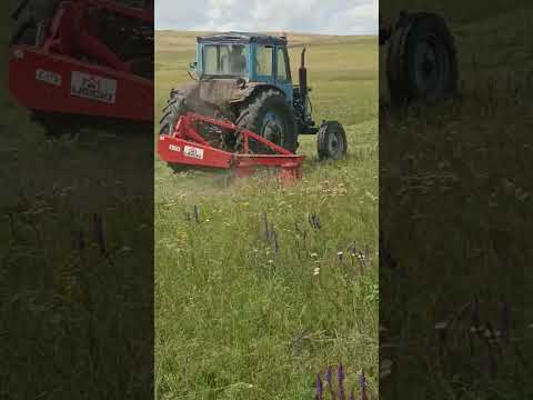 Даже сравнивать не стоит !