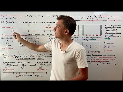 Изоэлектрическая точка