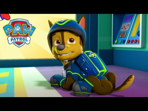 Pups Save the Day! -  PAW Patrol Episode - Cartoons for Kids