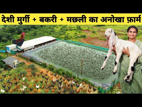 ऐसा गजब का फार्म आपने देखा नहीं होगा | Integrated Farming | Integrated Goat Chicken and Fish Farming