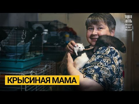 There are 120 rats living in my apartment. Rat mother.