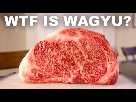 The history, science and taste of Wagyu beef