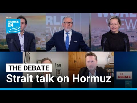 Strait talk on Hormuz: Insults, chaos, shadow of Iraq keep Trump's allies at bay? • FRANCE 24