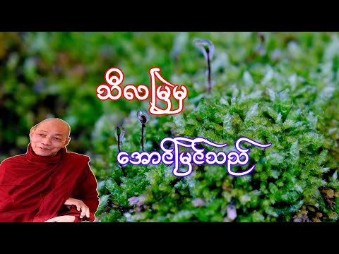 သီလမြဲမှအောင်မြင်သည်(ပါချုပ်ဆရာတော်)