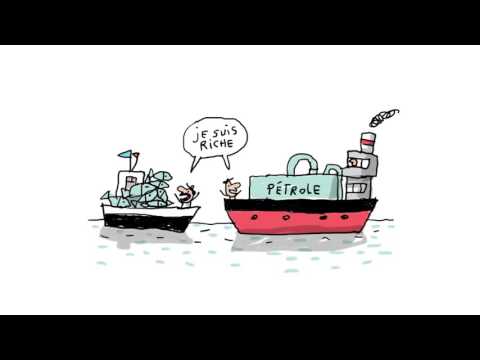 L’écologie expliquée aux enfants  - 1 jour, 1 question