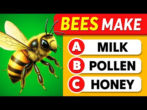 Are You Smarter Than a High School Student? 🤓✅🏆 General Knowledge Quiz