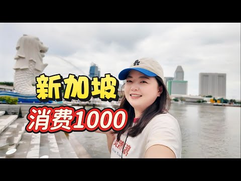 [Singapore] How much does it cost to travel in Singapore for three days ?