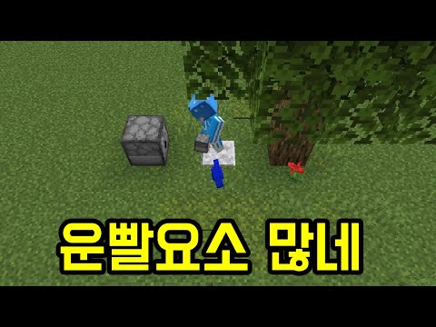 수많은 운빨요소들(마인크래프트)