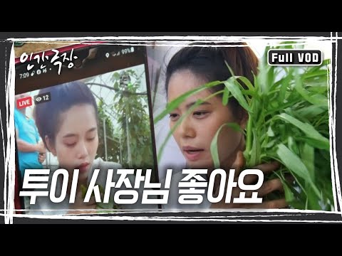 어렸을 땐 엄마와 고무농장에서, 고등학교 땐 복권을 팔았던 투이 씨, 지금은 고향 베트남의 채소를 정읍에 뿌리내린 투이 사장님이 됐다~ [인간극장] KBS 방송