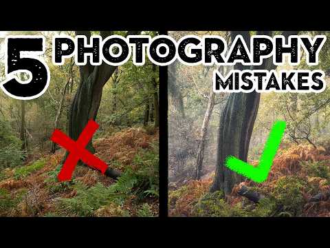 5 Common Woodland Photography Mistakes (and how to fix them)