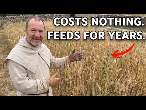 10 Medieval Supergrains That Big Agriculture Wants Dead