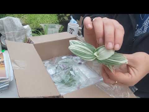 Опять новинки!!! обзор.