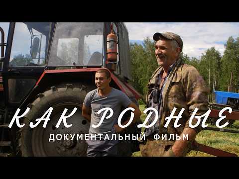Как родные. Вырастить хлеб трудно, убрать без потерь — не легче. Документальный фильм о селе и людях