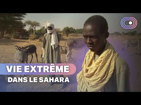 Ces nomades survivent isolés du monde extérieur