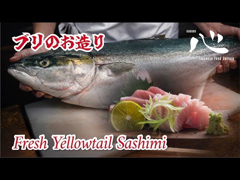 Fresh Yellowtail Sashimi(鰤のお造り)