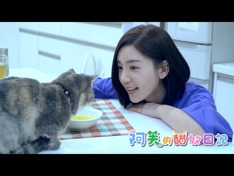 阿芙的貓奴日記 第1集 - 到科基摩卡卡與貓咪小栗子的家作客