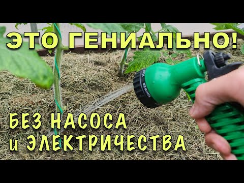 НАДОЕЛО ГОРБАТИТЬСЯ с ЛЕЙКАМИ! Сделал автополив из бочки БЕЗ НАСОСА и ЭЛЕКТРИЧЕСТВА