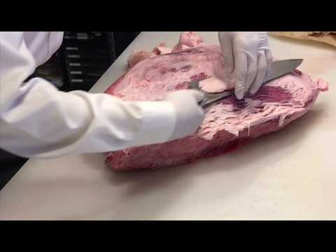 【WAGYU】和牛 シンタマ分割方法　numamoto cut howto